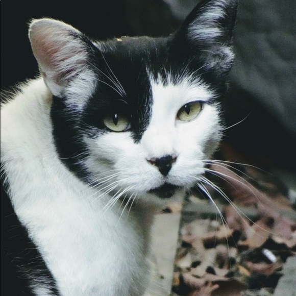 Meet your Posher, S - Picture 1 of 2